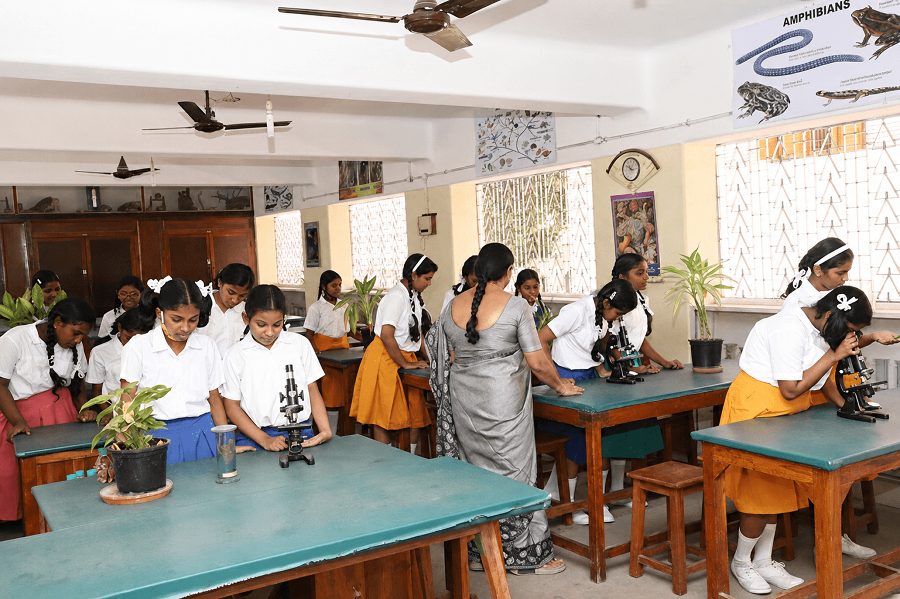 Rosary School classroom activity